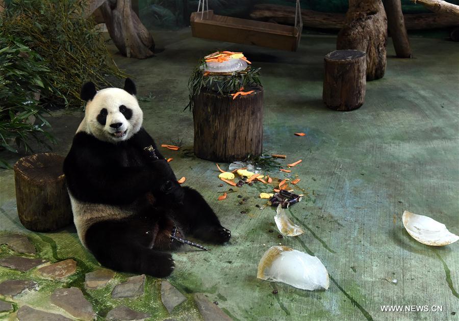 Anniversaire des pandas Yuan Yuan et Tuan Tuan