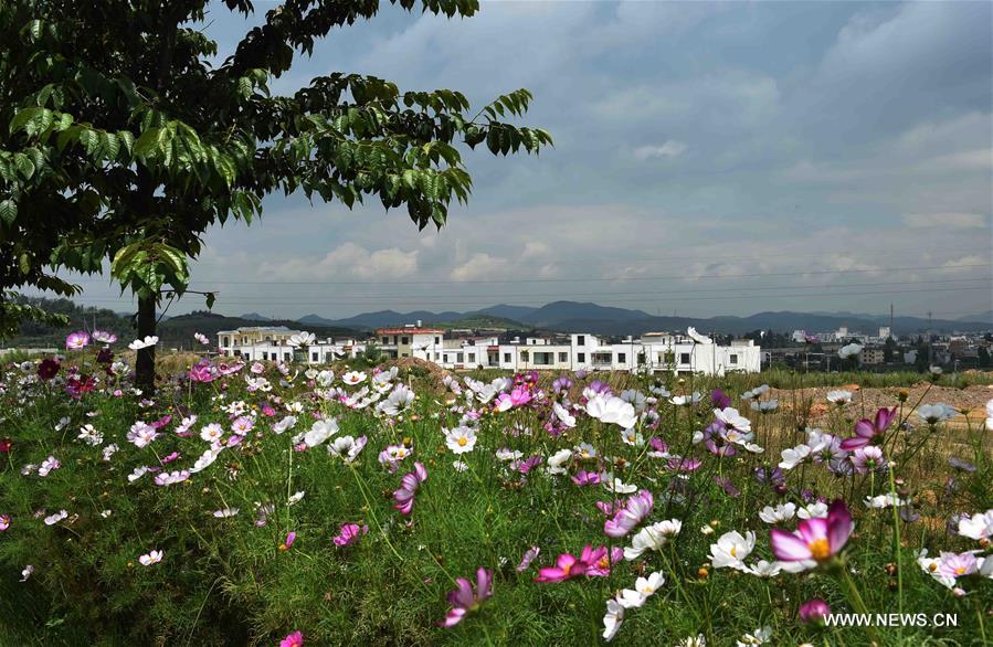 Chine : paysage du district de Malong au Yunnan