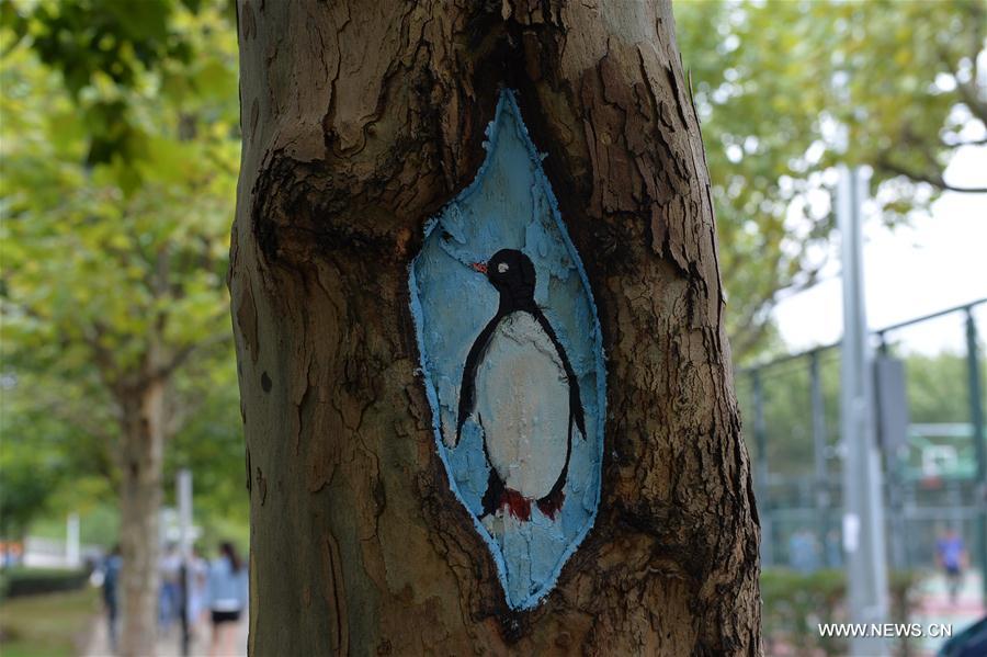 Chine : peintures sur des arbres à Shanghai