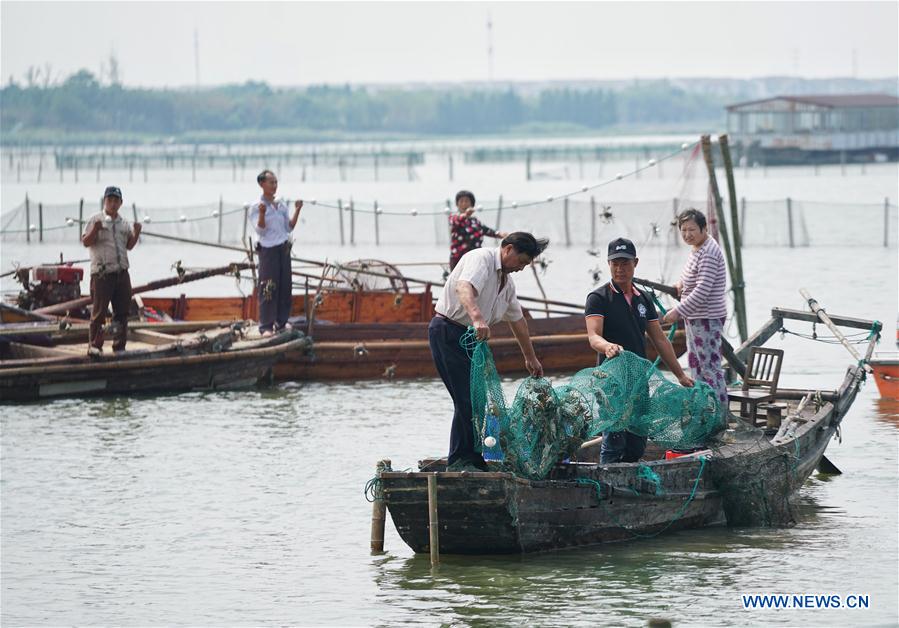 Chine : ouverture de la saison de la p&ecirc;che du crabe chinois