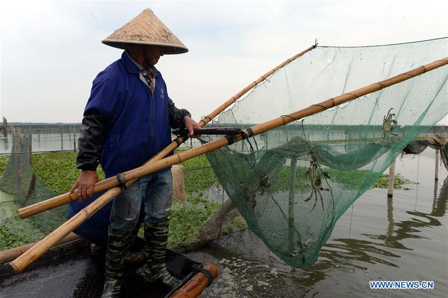 Chine : ouverture de la saison de la p&ecirc;che du crabe chinois