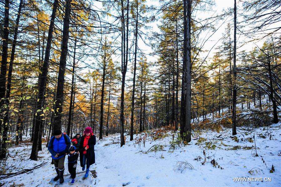 Chine : Parc forestier national d'Arxan