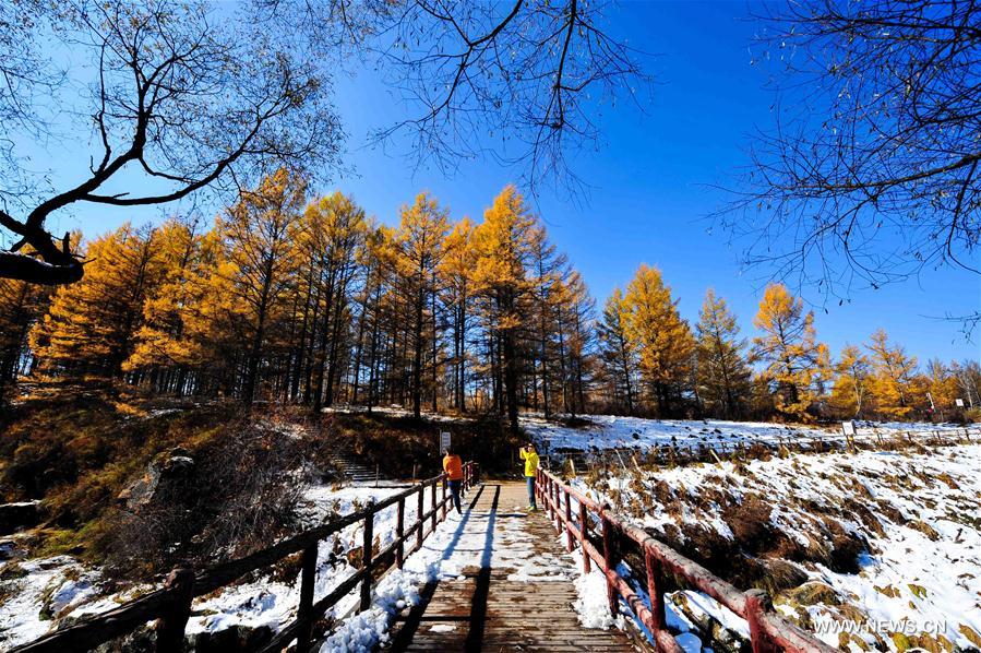 Chine : Parc forestier national d'Arxan 