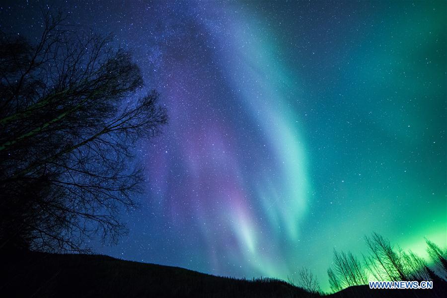 Etats-Unis : aurores boréales en Alaska
