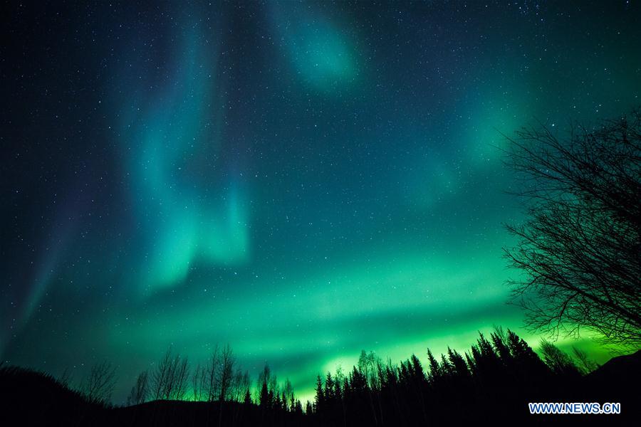 Etats-Unis : aurores boréales en Alaska