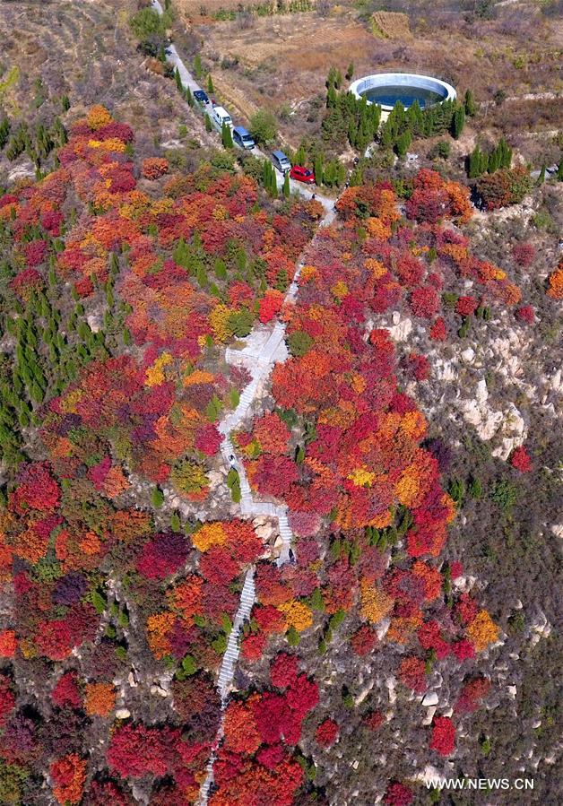 Paysages d'automne dans un village du Shandong
