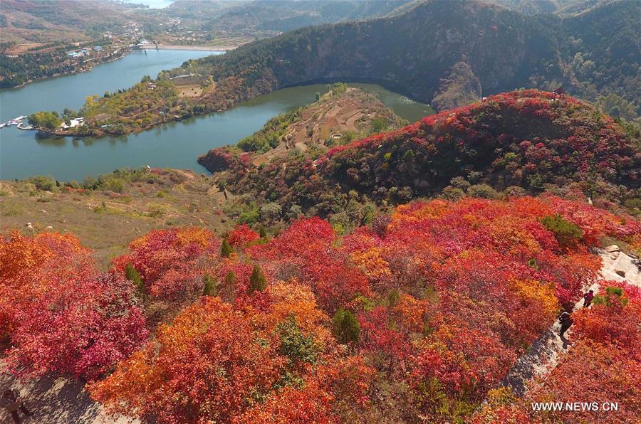 Paysages d'automne dans un village du Shandong