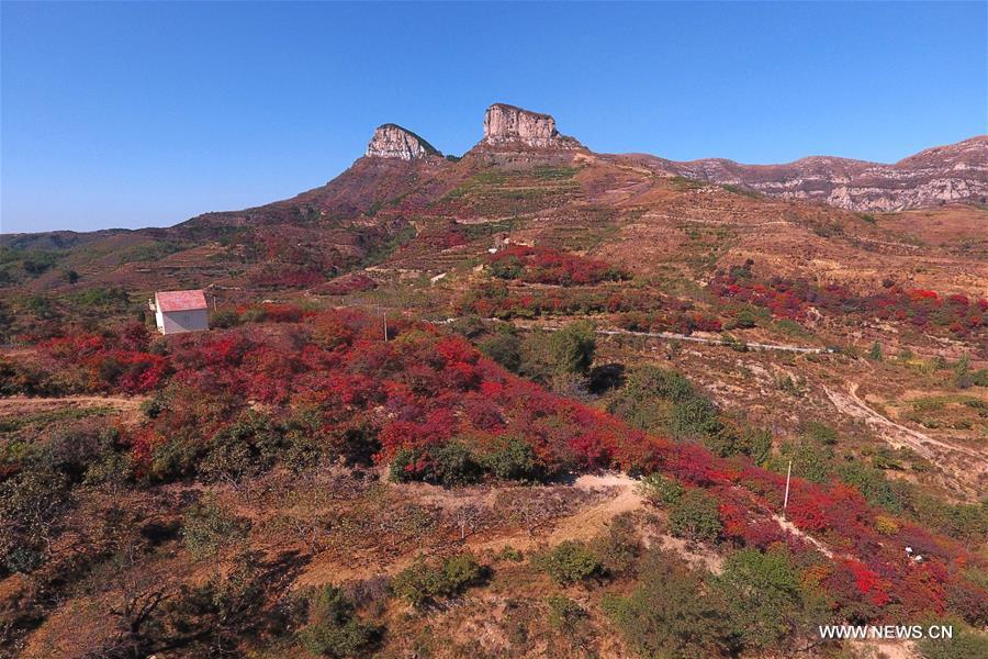 Paysages d'automne dans un village du Shandong