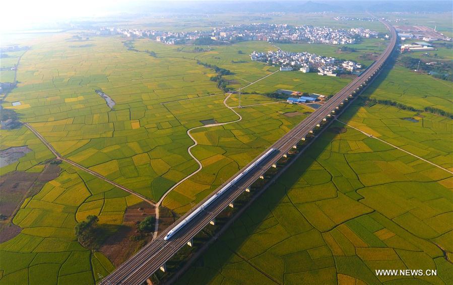 Chine : ligne à grande vitesse dans le sud 