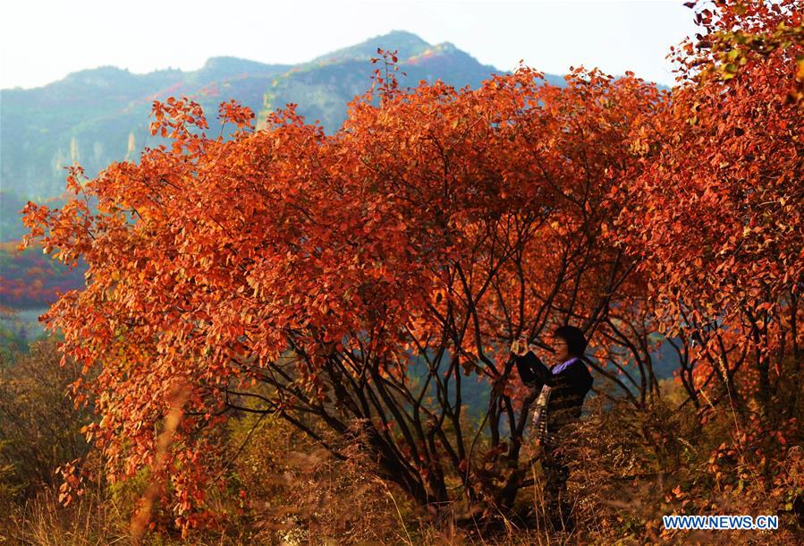 Des monts multicolores en automne dans le nord de la Chine