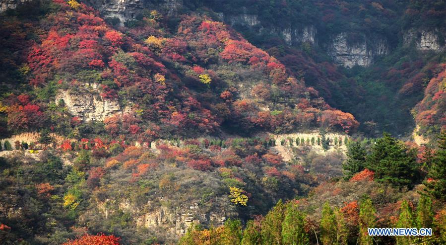 Des monts multicolores en automne dans le nord de la Chine