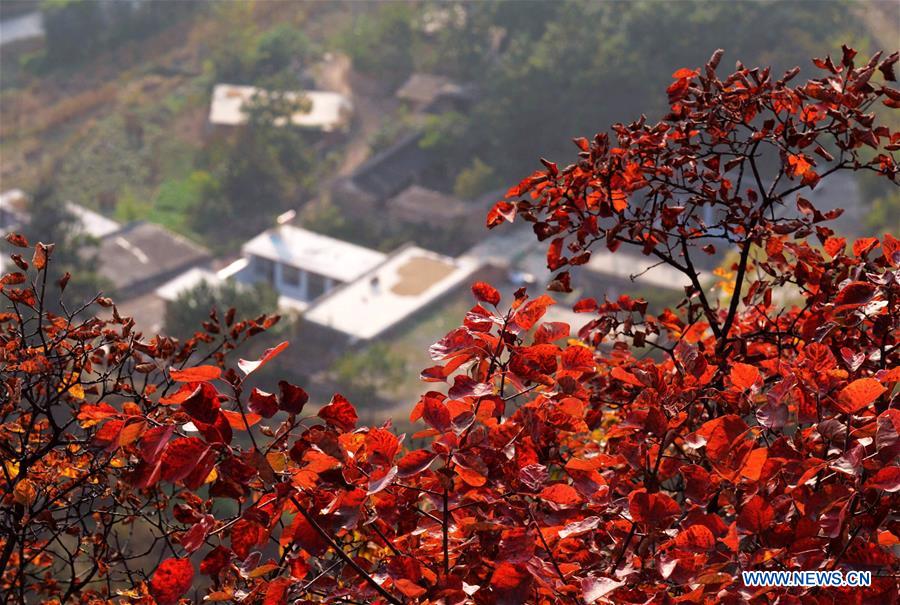 Des monts multicolores en automne dans le nord de la Chine