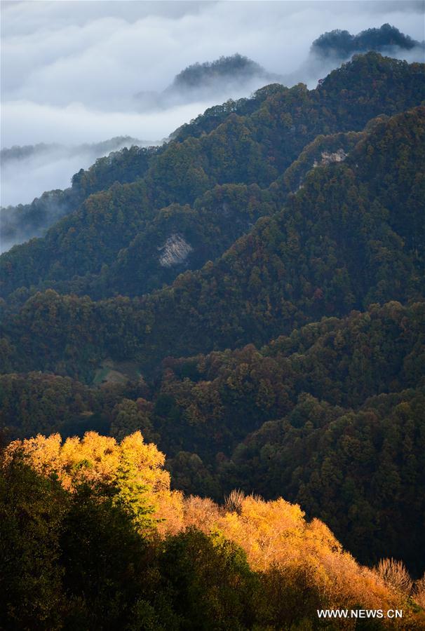 Chine : lever du soleil dans la montagne Hualong