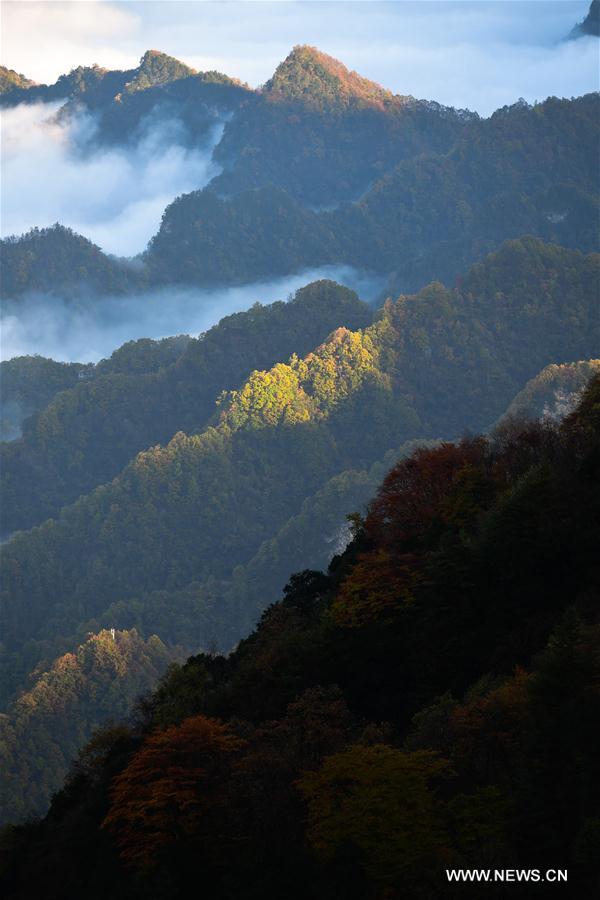 Chine : lever du soleil dans la montagne Hualong