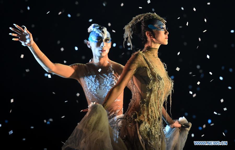 Drame dansé "Paons d'hiver" dans le sud-ouest de la Chine