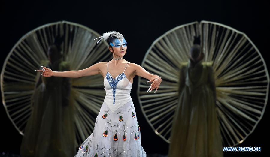 Drame dansé "Paons d'hiver" dans le sud-ouest de la Chine