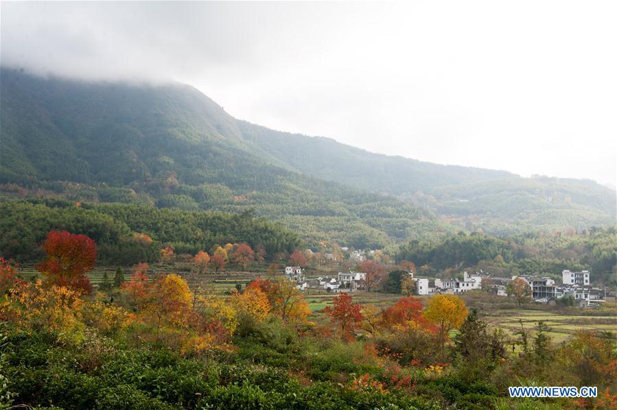 CHINA-ANHUI-HUANGSHAN-SCENERY (CN)