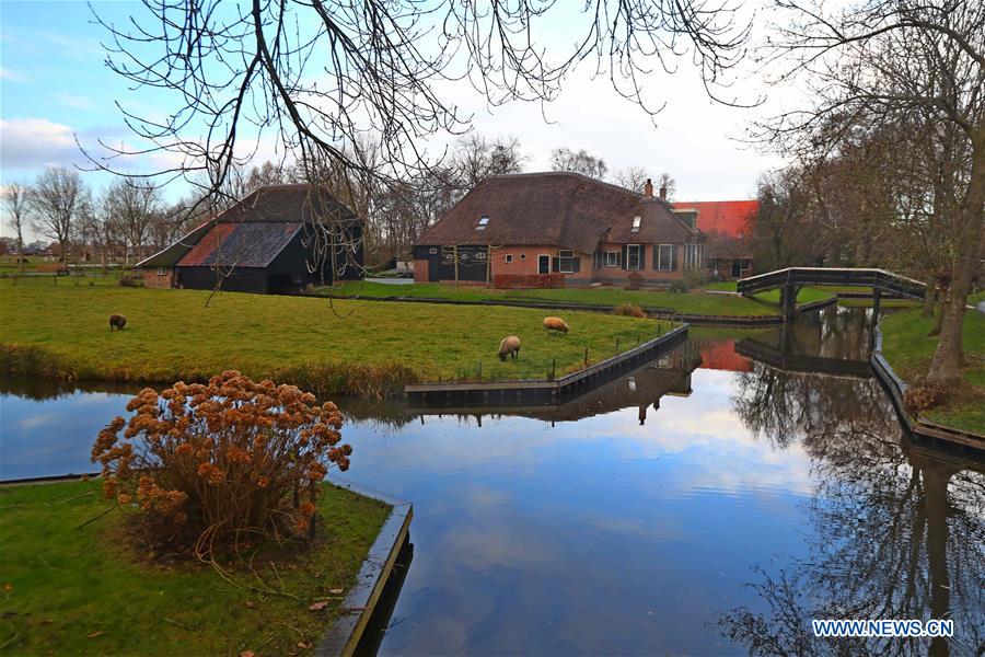 Paysage hivernal à Giethoorn aux Pays-Bas