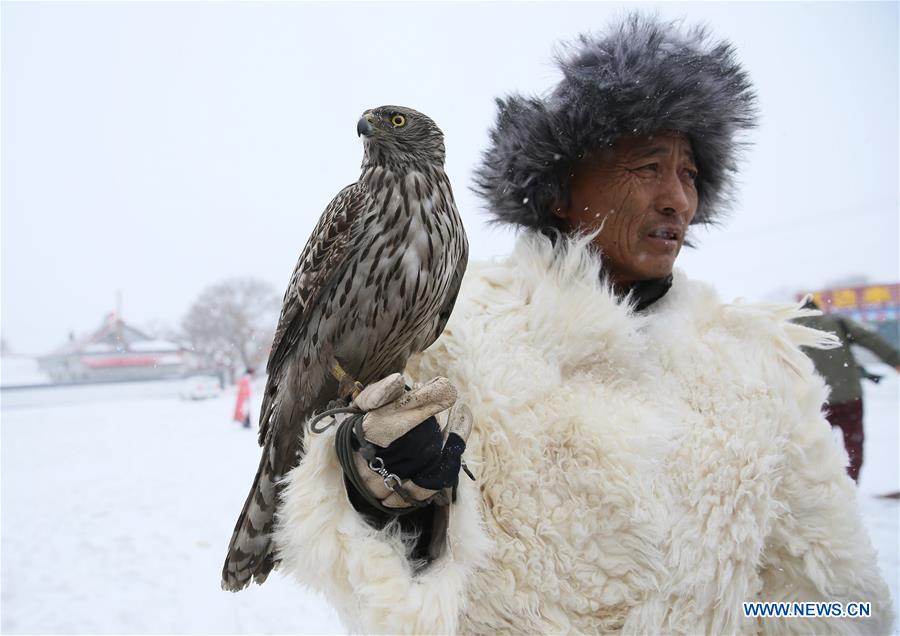 Fauconnerie dans le nord-est de la Chine