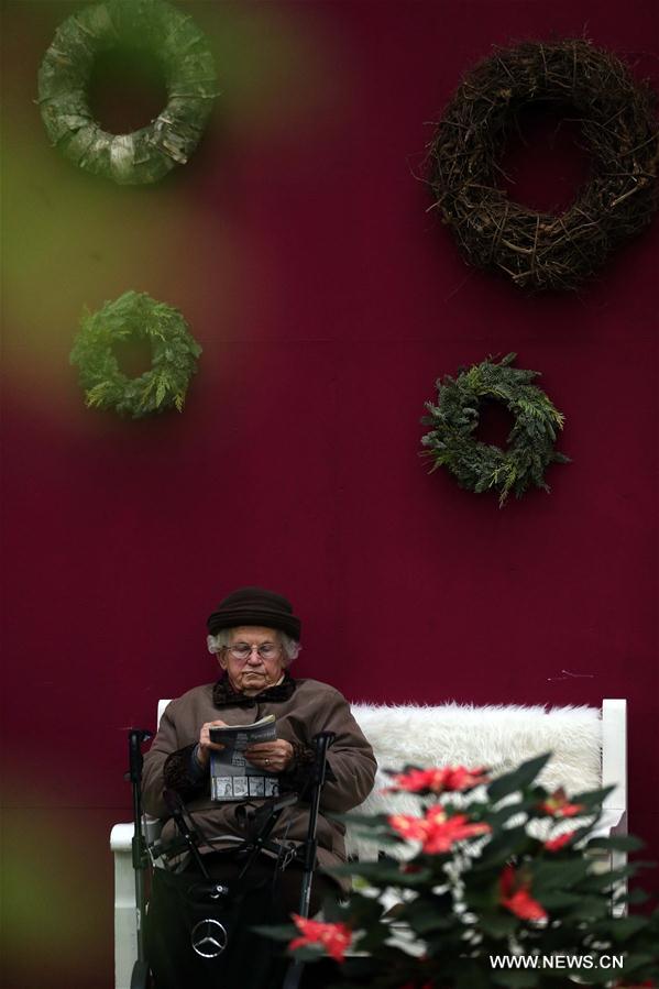 Exposition de Noël à Francfort