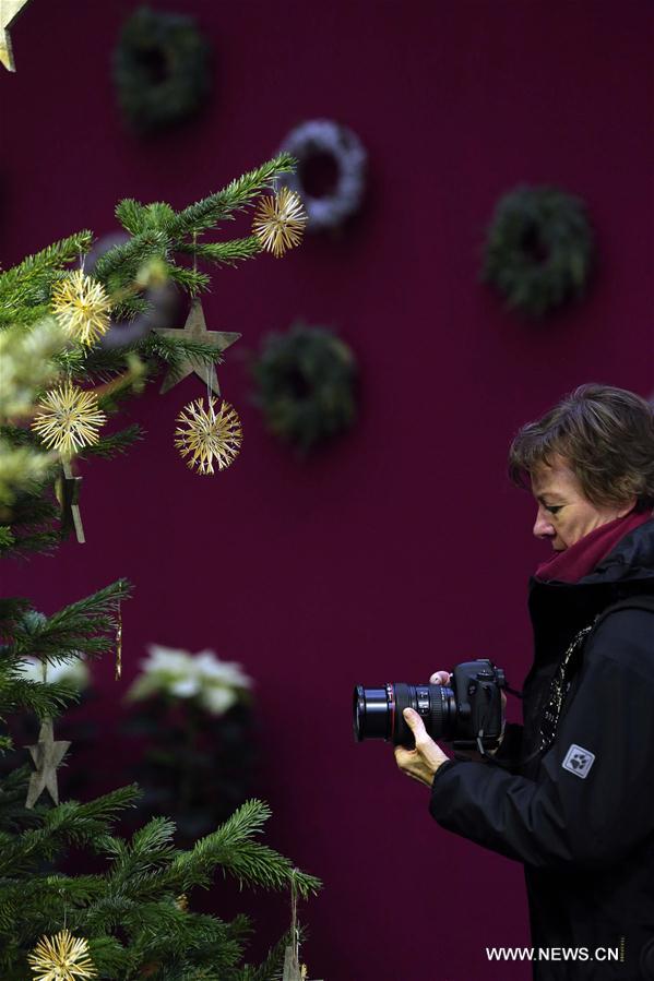 Exposition de Noël à Francfort