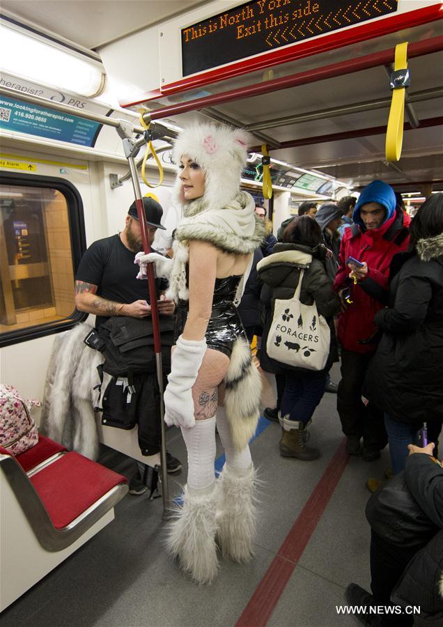 Canada : "Sans pantalon dans le métro" à Toronto 