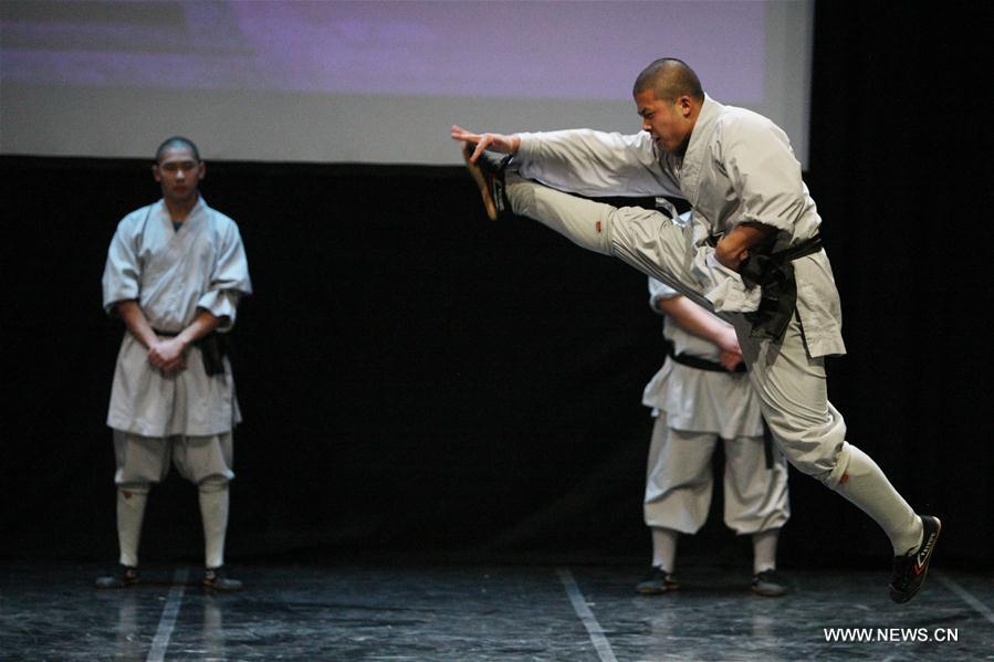 Représentation d'arts martiaux Shaolin à Chypre