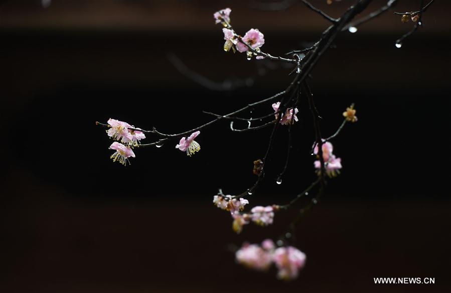 CHINA-FUZHOU-LINYANG TEMPLE-SCENERY (CN)