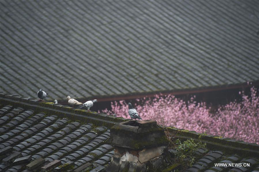 CHINA-FUZHOU-LINYANG TEMPLE-SCENERY (CN)