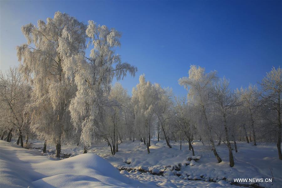 Chine : paysage de givre au Xinjiang 