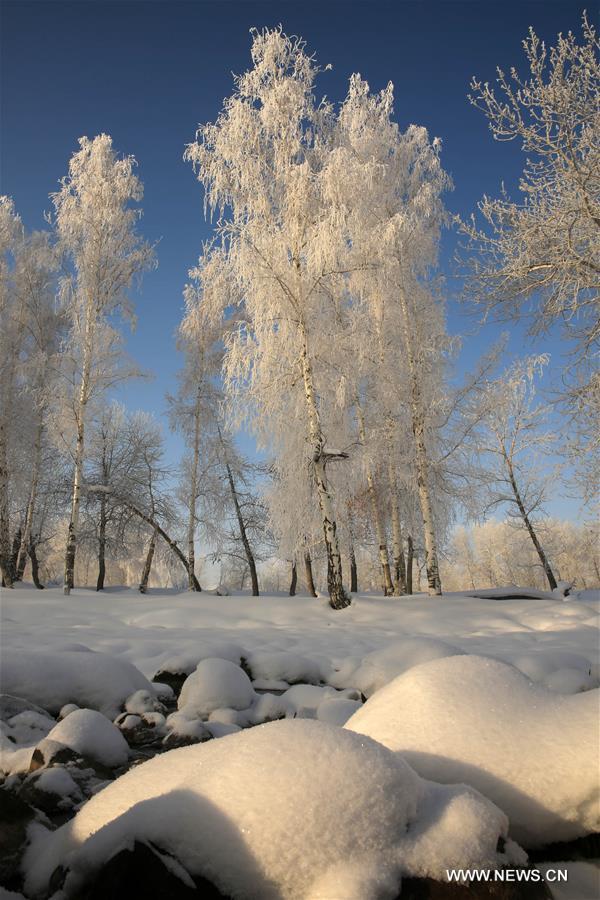 Chine : paysage de givre au Xinjiang 