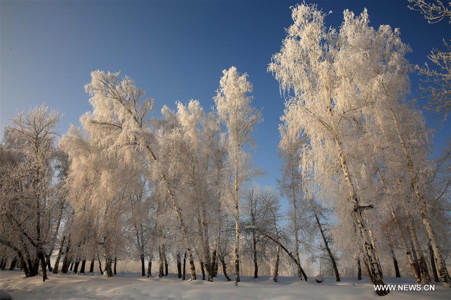 Chine : paysage de givre au Xinjiang 