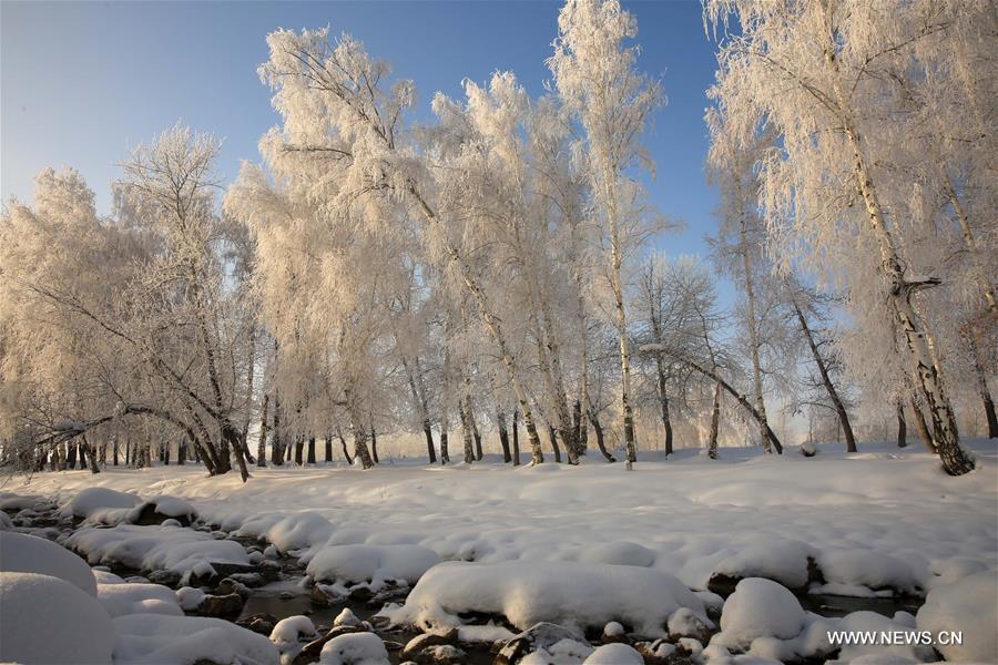 Chine : paysage de givre au Xinjiang 