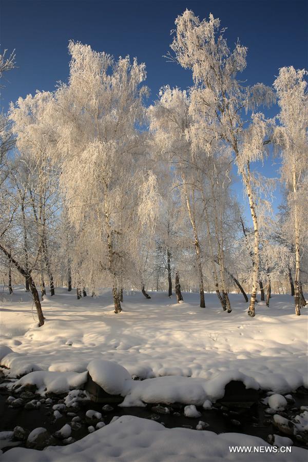 Chine : paysage de givre au Xinjiang 