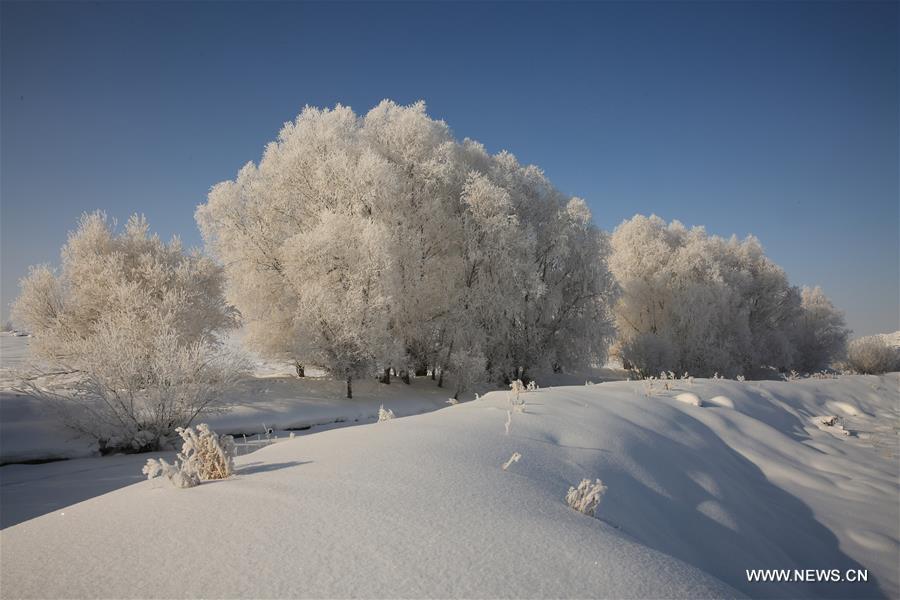 Chine : paysage de givre au Xinjiang 