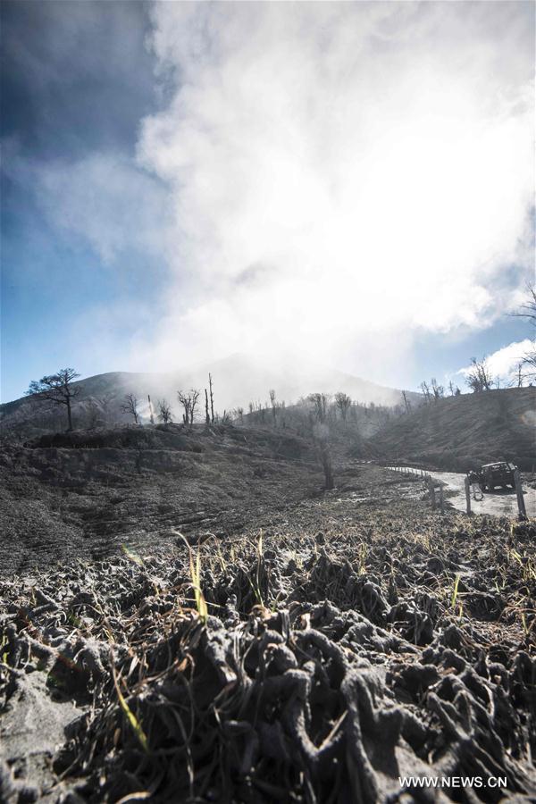 [5]（外代二线）图里亚尔瓦火山喷发