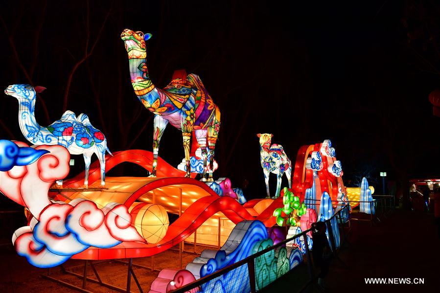 Chine : célébrations de la fête des Lanternes à Zhengzhou