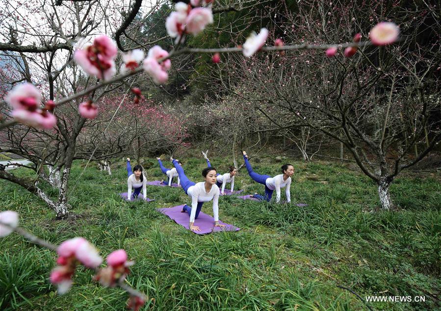 Chine : amatrices de yoga dans le Hunan