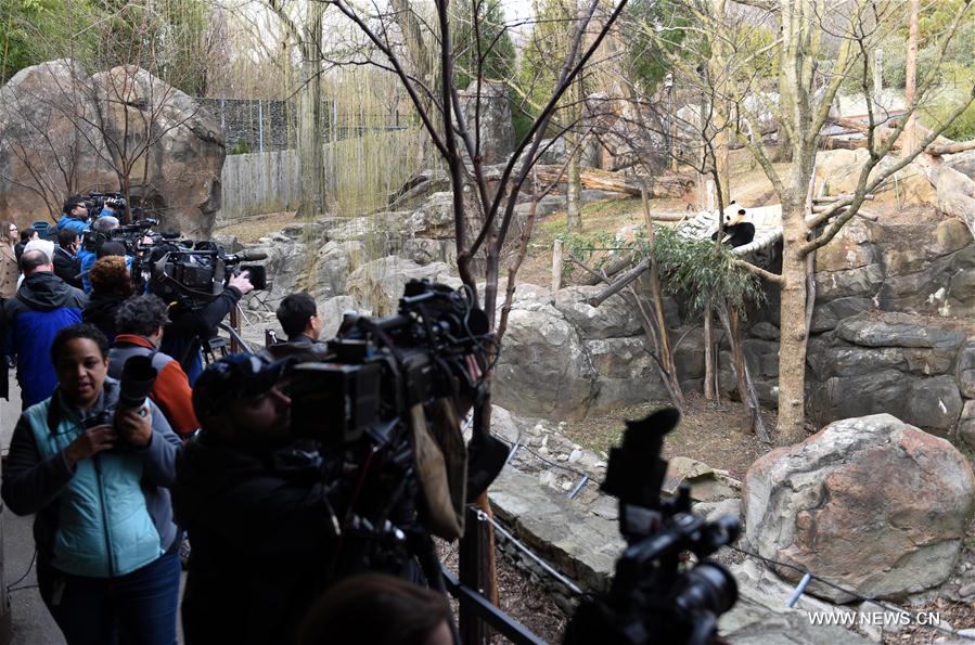 Etats-Unis : départ du panda géant Bao Bao pour la Chine