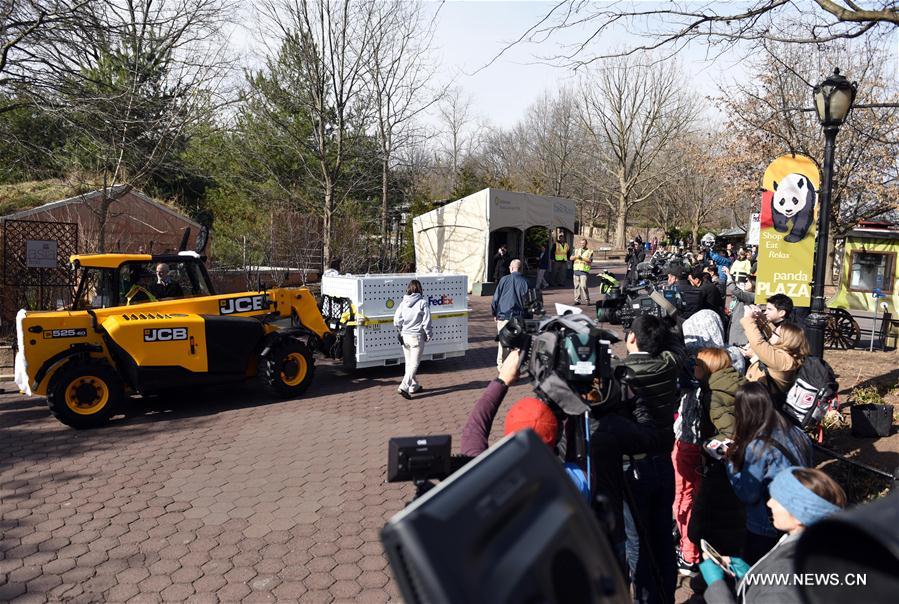 Etats-Unis : départ du panda géant Bao Bao pour la Chine