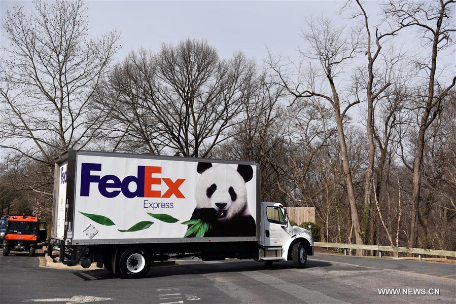 Etats-Unis : départ du panda géant Bao Bao pour la Chine