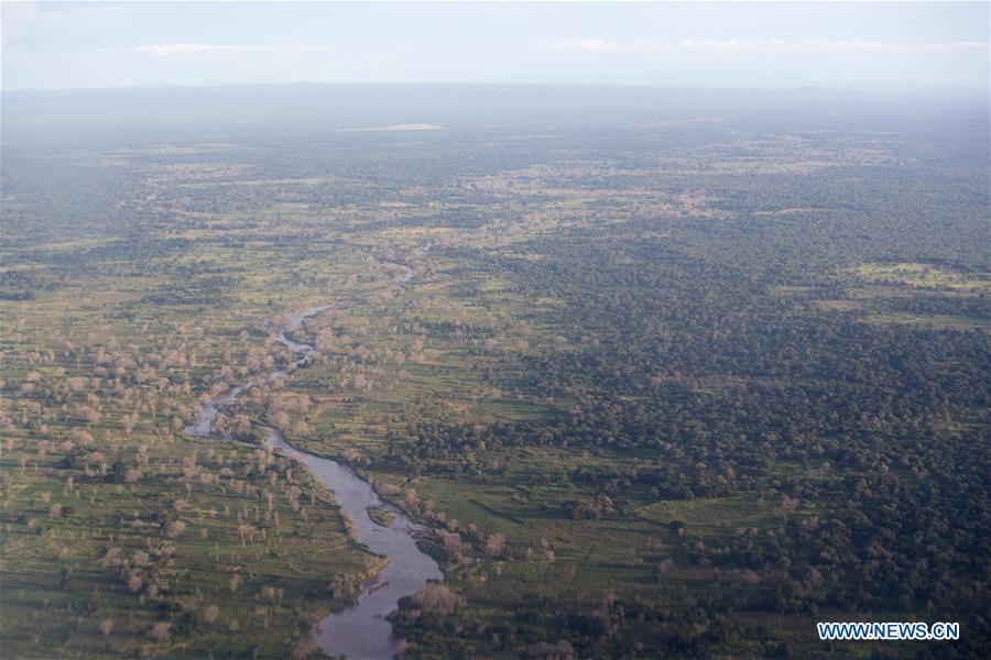 Zambie : Parc national de Luangwa sud