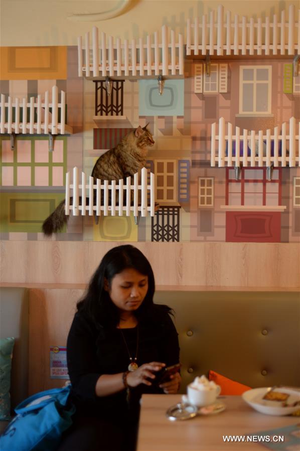 INDONESIA-SOUTH TANGERANG-CAT CAFE