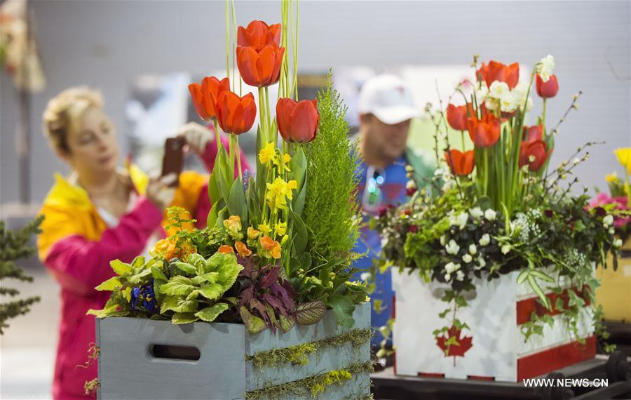 Canada : Salon de la fleur à Toronto