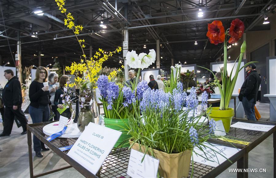 Canada : Salon de la fleur à Toronto