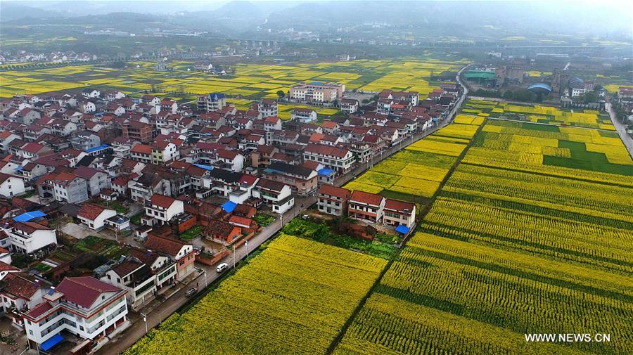 Paysage printanier dans le nord-ouest de la Chine