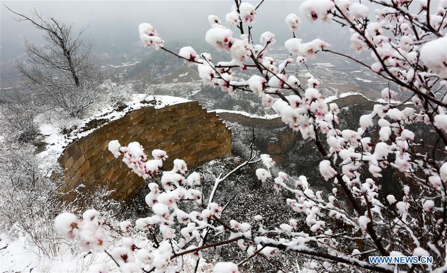 Paysage enneigé d'une section de la Grande Muraille à Beijing