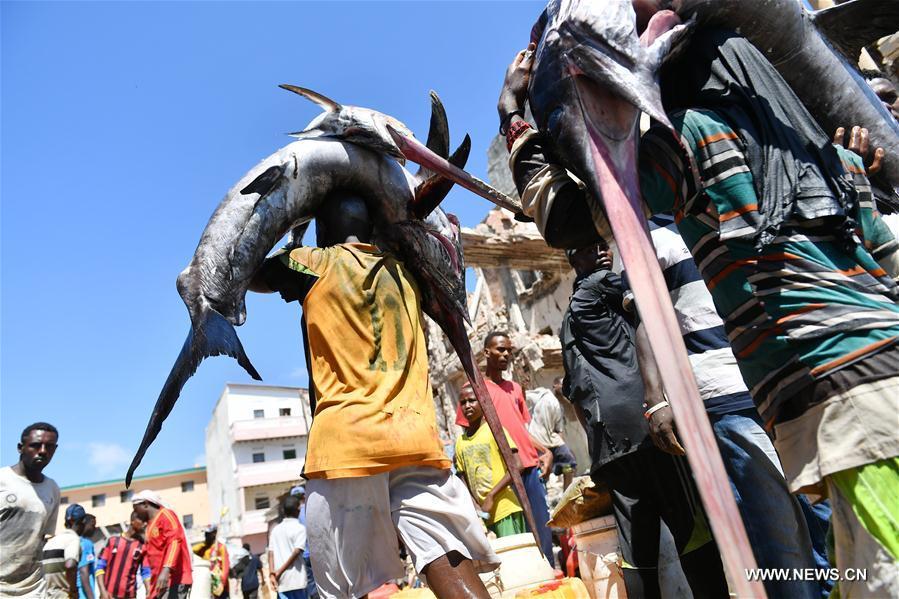 Somalie : marché aux poissons à Mogadiscio