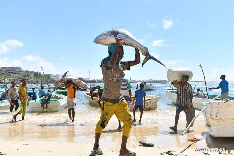 Somalie : marché aux poissons à Mogadiscio