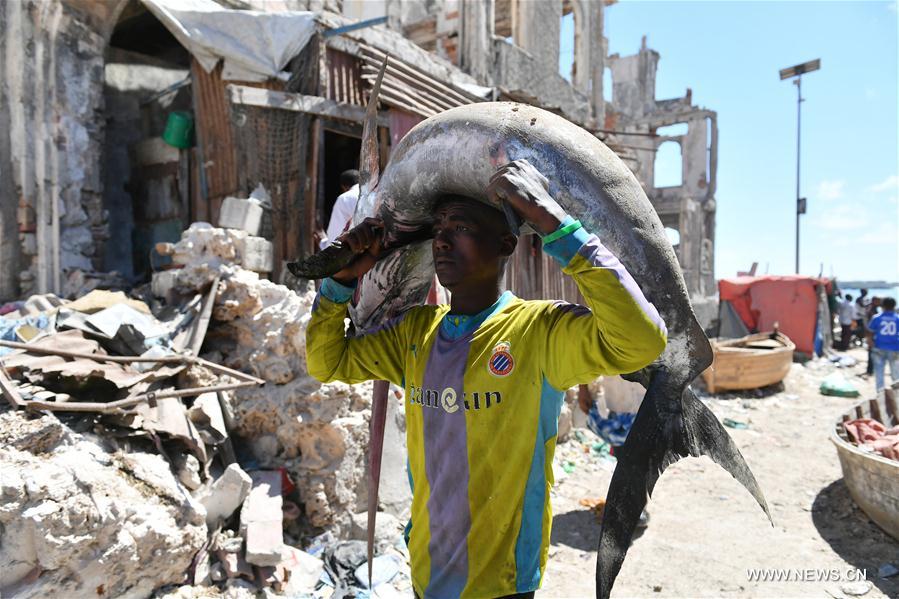 Somalie : marché aux poissons à Mogadiscio